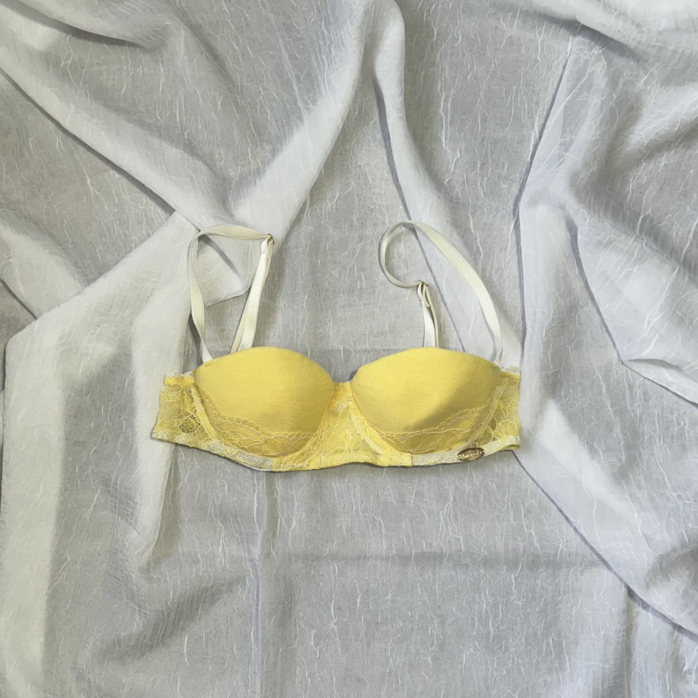 Brasier Claudia