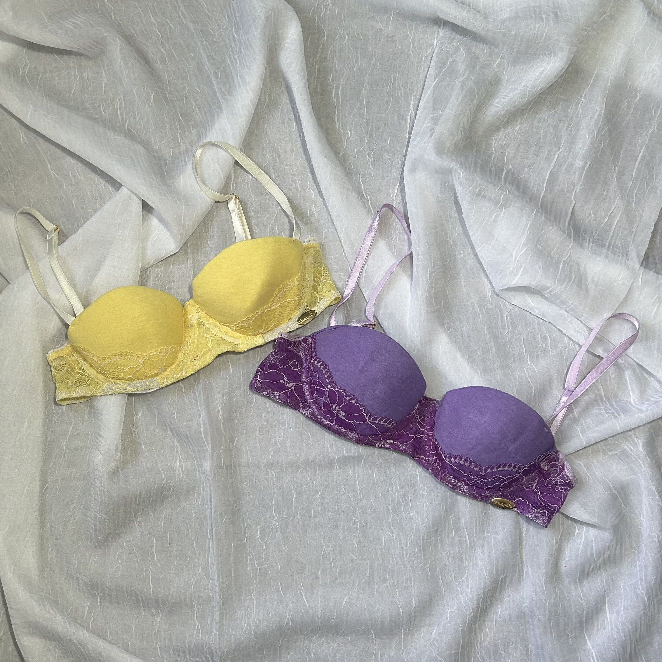 Brasier Claudia